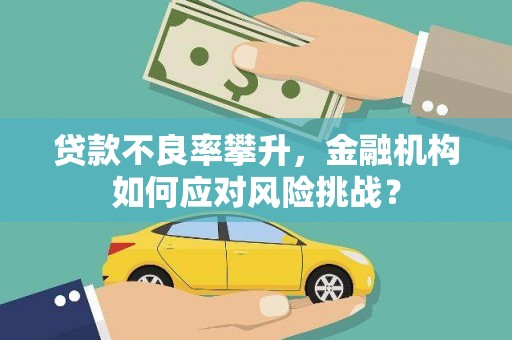 囊谦贷款不良率攀升，金融机构如何应对风险挑战？