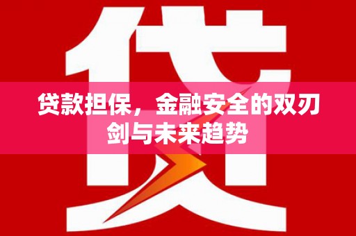 囊谦贷款担保，金融安全的双刃剑与未来趋势