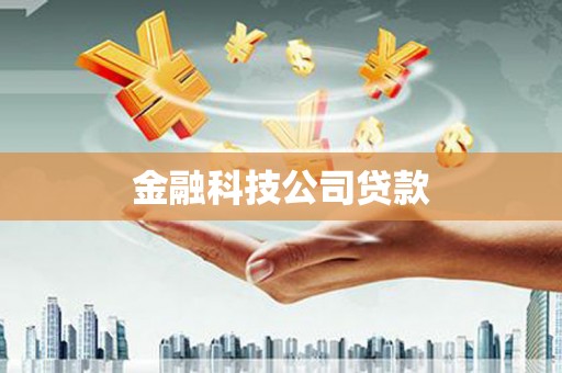 囊谦金融科技公司贷款