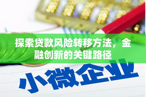 囊谦探索贷款风险转移方法，金融创新的关键路径
