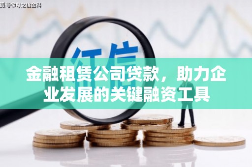 囊谦金融租赁公司贷款，助力企业发展的关键融资工具