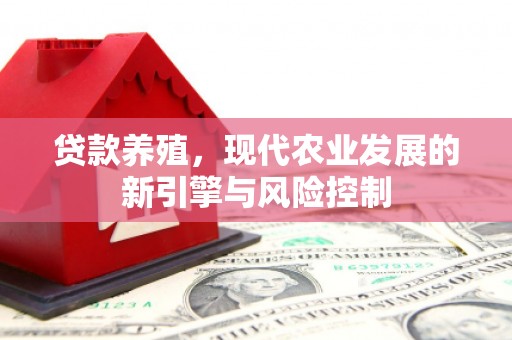囊谦贷款养殖，现代农业发展的新引擎与风险控制
