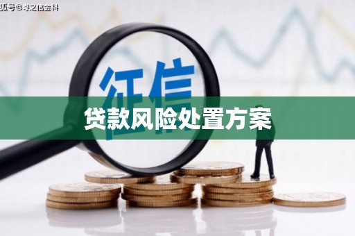 囊谦贷款风险处置方案