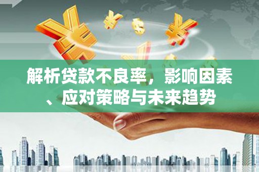 囊谦解析贷款不良率，影响因素、应对策略与未来趋势