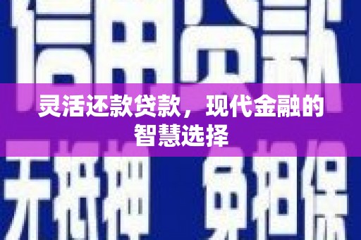 囊谦灵活还款贷款，现代金融的智慧选择