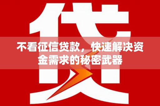 囊谦不看征信贷款，快速解决资金需求的秘密武器