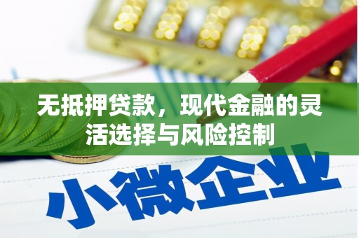 囊谦无抵押贷款，现代金融的灵活选择与风险控制