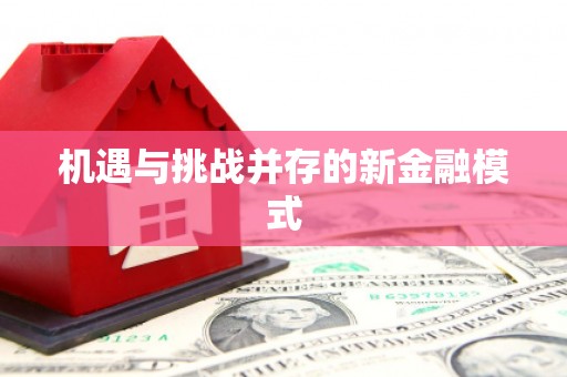 囊谦机遇与挑战并存的新金融模式