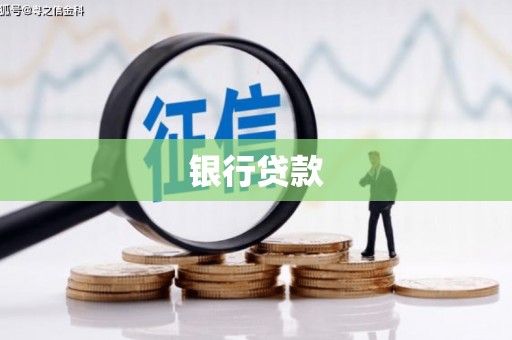 囊谦银行贷款