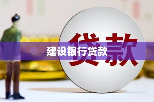 囊谦建设银行贷款