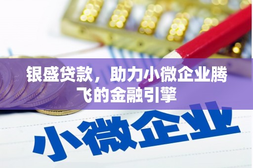 囊谦银盛贷款，助力小微企业腾飞的金融引擎