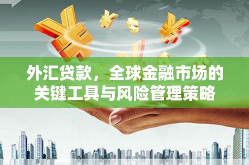 囊谦外汇贷款，全球金融市场的关键工具与风险管理策略