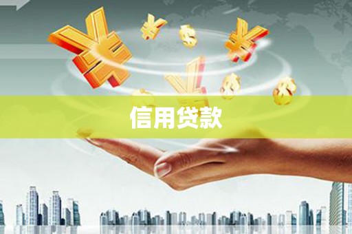 囊谦信用贷款
