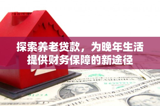 囊谦探索养老贷款，为晚年生活提供财务保障的新途径