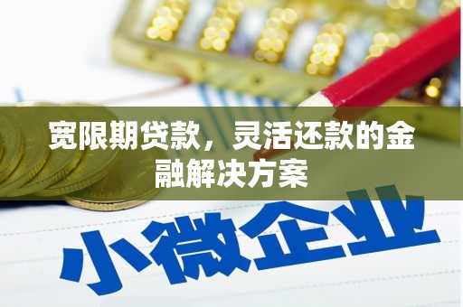 囊谦宽限期贷款，灵活还款的金融解决方案