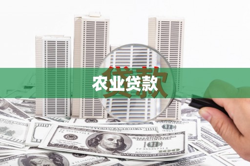囊谦农业贷款