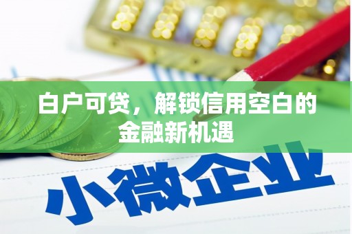 囊谦白户可贷，解锁信用空白的金融新机遇