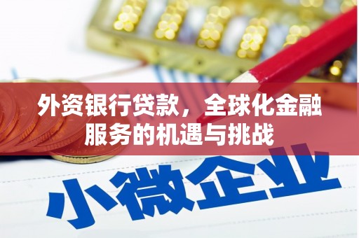 囊谦外资银行贷款，全球化金融服务的机遇与挑战