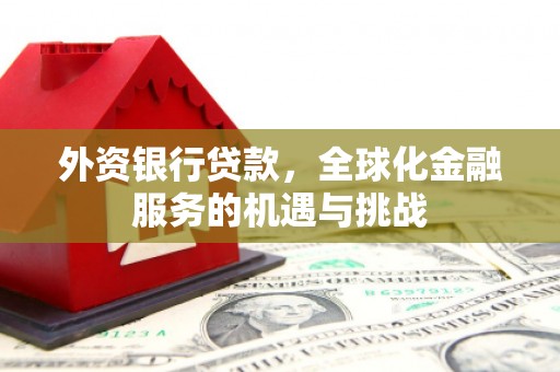 囊谦外资银行贷款，全球化金融服务的机遇与挑战