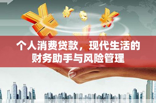囊谦个人消费贷款，现代生活的财务助手与风险管理