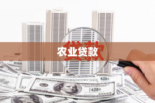 囊谦农业贷款