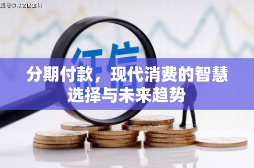 囊谦分期付款，现代消费的智慧选择与未来趋势