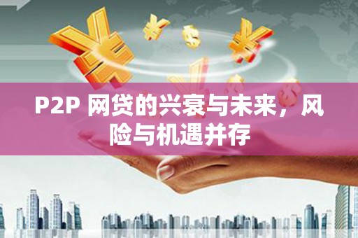 囊谦P2P 网贷的兴衰与未来，风险与机遇并存