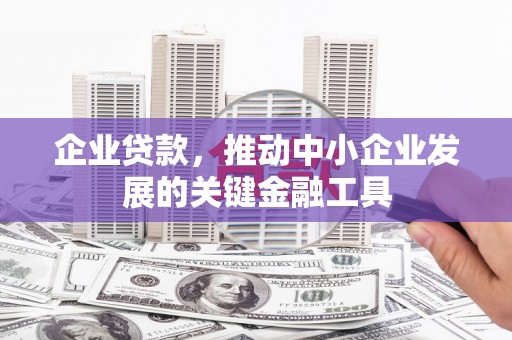 囊谦企业贷款，推动中小企业发展的关键金融工具