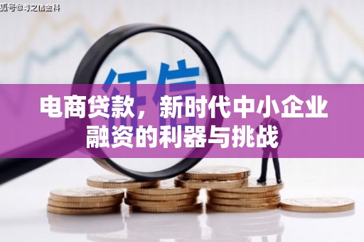囊谦电商贷款，新时代中小企业融资的利器与挑战