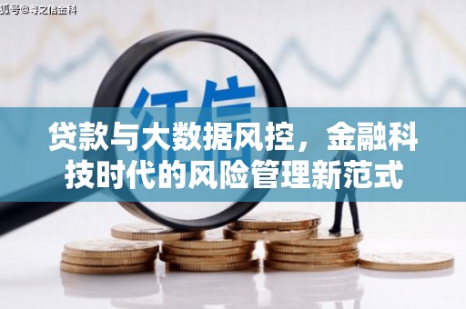 囊谦贷款与大数据风控，金融科技时代的风险管理新范式