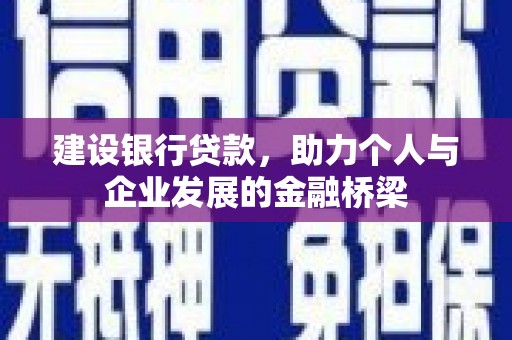 囊谦建设银行贷款，助力个人与企业发展的金融桥梁