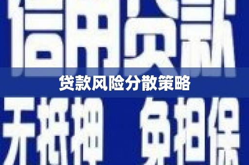 囊谦贷款风险分散策略