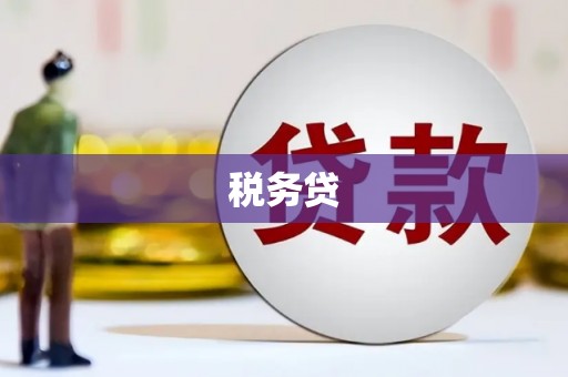 囊谦税务贷
