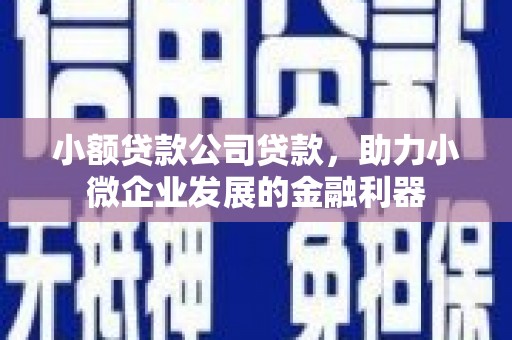 囊谦小额贷款公司贷款，助力小微企业发展的金融利器