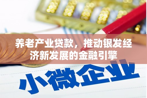 囊谦养老产业贷款，推动银发经济新发展的金融引擎