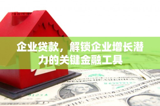 囊谦企业贷款，解锁企业增长潜力的关键金融工具