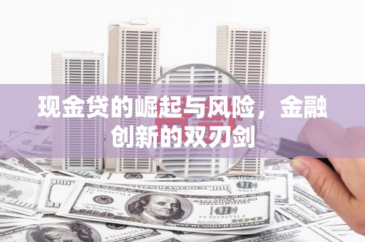 囊谦现金贷的崛起与风险，金融创新的双刃剑