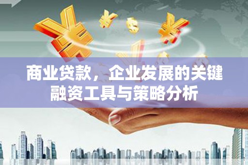 囊谦商业贷款，企业发展的关键融资工具与策略分析