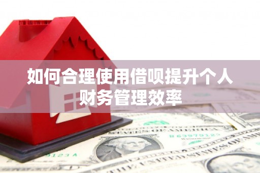 囊谦如何合理使用借呗提升个人财务管理效率