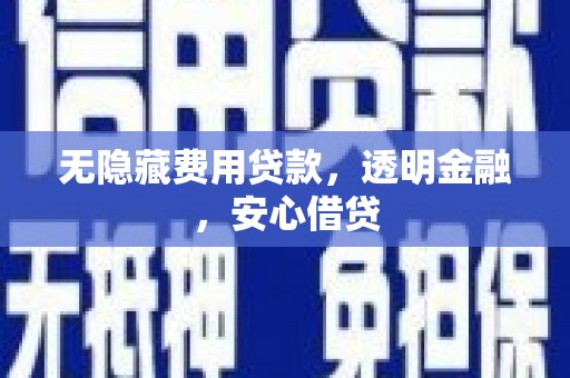 囊谦无隐藏费用贷款，透明金融，安心借贷