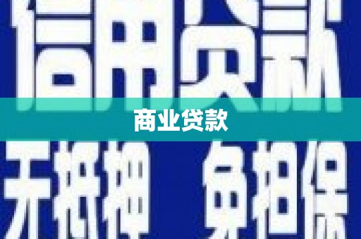 囊谦商业贷款