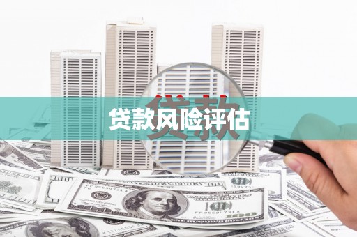 囊谦贷款风险评估
