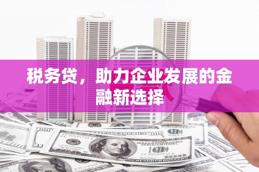 囊谦税务贷，助力企业发展的金融新选择