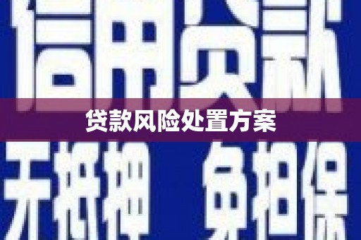 囊谦贷款风险处置方案