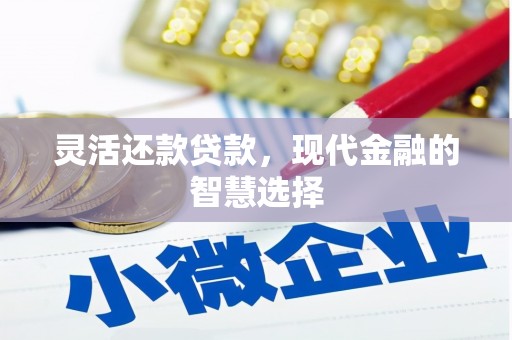 囊谦灵活还款贷款，现代金融的智慧选择
