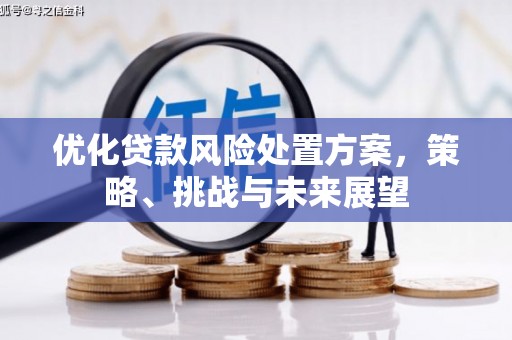 囊谦优化贷款风险处置方案，策略、挑战与未来展望