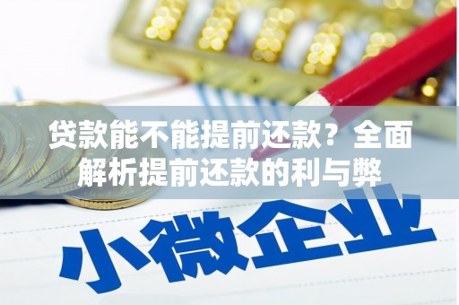 囊谦贷款能不能提前还款？全面解析提前还款的利与弊