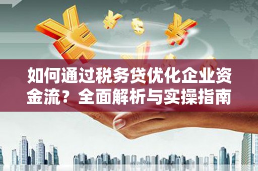 囊谦如何通过税务贷优化企业资金流？全面解析与实操指南