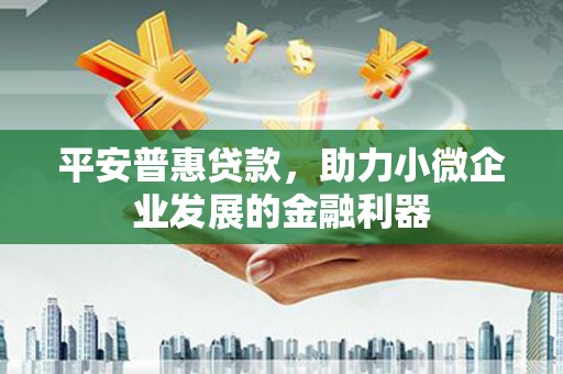囊谦平安普惠贷款，助力小微企业发展的金融利器