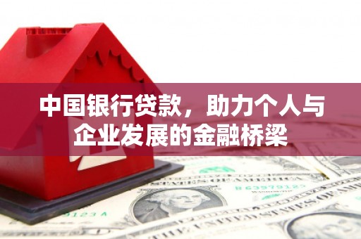 囊谦中国银行贷款，助力个人与企业发展的金融桥梁